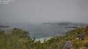 ./images/calvert/foggy-cove/20250630/foggy-cove20250630_114510M.jpg