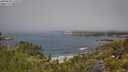 ./images/calvert/foggy-cove/20250630/foggy-cove20250630_115008M.jpg