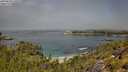 ./images/calvert/foggy-cove/20250630/foggy-cove20250630_115509M.jpg