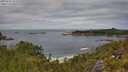 ./images/calvert/foggy-cove/20250630/foggy-cove20250630_122510M.jpg