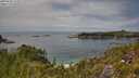 ./images/calvert/foggy-cove/20250630/foggy-cove20250630_133011M.jpg