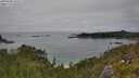 ./images/calvert/foggy-cove/20250630/foggy-cove20250630_141507M.jpg