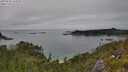 ./images/calvert/foggy-cove/20250630/foggy-cove20250630_143011M.jpg