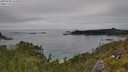 ./images/calvert/foggy-cove/20250630/foggy-cove20250630_144010M.jpg