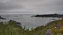 ./images/calvert/foggy-cove/20250630/foggy-cove20250630_144509M.jpg