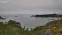 ./images/calvert/foggy-cove/20250630/foggy-cove20250630_145507M.jpg