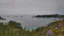 ./images/calvert/foggy-cove/20250630/foggy-cove20250630_152509M.jpg
