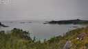 ./images/calvert/foggy-cove/20250630/foggy-cove20250630_153509M.jpg