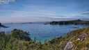 ./images/calvert/foggy-cove/20250630/foggy-cove20250630_160508M.jpg