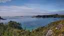 ./images/calvert/foggy-cove/20250630/foggy-cove20250630_161011M.jpg