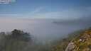 ./images/calvert/foggy-cove/20250630/foggy-cove20250630_163509M.jpg