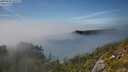 ./images/calvert/foggy-cove/20250630/foggy-cove20250630_165509M.jpg
