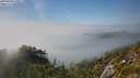 ./images/calvert/foggy-cove/20250630/foggy-cove20250630_170511M.jpg