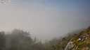 ./images/calvert/foggy-cove/20250630/foggy-cove20250630_171010M.jpg
