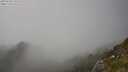 ./images/calvert/foggy-cove/20250630/foggy-cove20250630_171508M.jpg