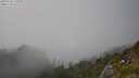 ./images/calvert/foggy-cove/20250630/foggy-cove20250630_172010M.jpg