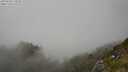 ./images/calvert/foggy-cove/20250630/foggy-cove20250630_172510M.jpg