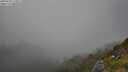 ./images/calvert/foggy-cove/20250630/foggy-cove20250630_173011M.jpg
