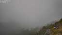 ./images/calvert/foggy-cove/20250630/foggy-cove20250630_173510M.jpg