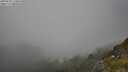 ./images/calvert/foggy-cove/20250630/foggy-cove20250630_174010M.jpg