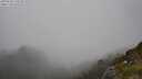 ./images/calvert/foggy-cove/20250630/foggy-cove20250630_174511M.jpg