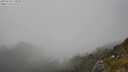 ./images/calvert/foggy-cove/20250630/foggy-cove20250630_175010M.jpg