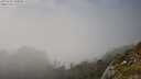 ./images/calvert/foggy-cove/20250630/foggy-cove20250630_180010M.jpg