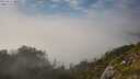 ./images/calvert/foggy-cove/20250630/foggy-cove20250630_180509M.jpg