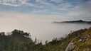 ./images/calvert/foggy-cove/20250630/foggy-cove20250630_181008M.jpg