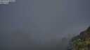 ./images/calvert/foggy-cove/20250701/foggy-cove20250701_050009M.jpg