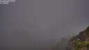 ./images/calvert/foggy-cove/20250701/foggy-cove20250701_050508M.jpg