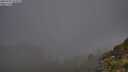 ./images/calvert/foggy-cove/20250701/foggy-cove20250701_051009M.jpg