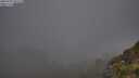 ./images/calvert/foggy-cove/20250701/foggy-cove20250701_051508M.jpg