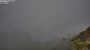./images/calvert/foggy-cove/20250701/foggy-cove20250701_052008M.jpg