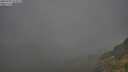 ./images/calvert/foggy-cove/20250701/foggy-cove20250701_053009M.jpg