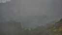 ./images/calvert/foggy-cove/20250701/foggy-cove20250701_053508M.jpg