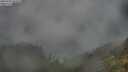 ./images/calvert/foggy-cove/20250701/foggy-cove20250701_054508M.jpg