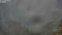 ./images/calvert/foggy-cove/20250701/foggy-cove20250701_055009M.jpg