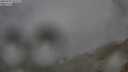 ./images/calvert/foggy-cove/20250701/foggy-cove20250701_055508M.jpg