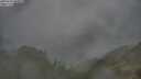 ./images/calvert/foggy-cove/20250701/foggy-cove20250701_060009M.jpg
