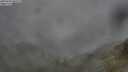 ./images/calvert/foggy-cove/20250701/foggy-cove20250701_060509M.jpg