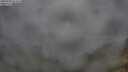 ./images/calvert/foggy-cove/20250701/foggy-cove20250701_063010M.jpg