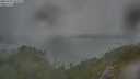./images/calvert/foggy-cove/20250701/foggy-cove20250701_063508M.jpg