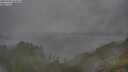 ./images/calvert/foggy-cove/20250701/foggy-cove20250701_064008M.jpg