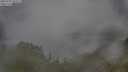 ./images/calvert/foggy-cove/20250701/foggy-cove20250701_070509M.jpg