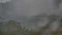 ./images/calvert/foggy-cove/20250701/foggy-cove20250701_071010M.jpg