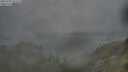 ./images/calvert/foggy-cove/20250701/foggy-cove20250701_072008M.jpg