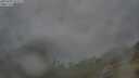 ./images/calvert/foggy-cove/20250701/foggy-cove20250701_072509M.jpg