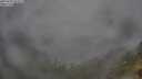 ./images/calvert/foggy-cove/20250701/foggy-cove20250701_073509M.jpg