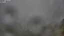 ./images/calvert/foggy-cove/20250701/foggy-cove20250701_074510M.jpg